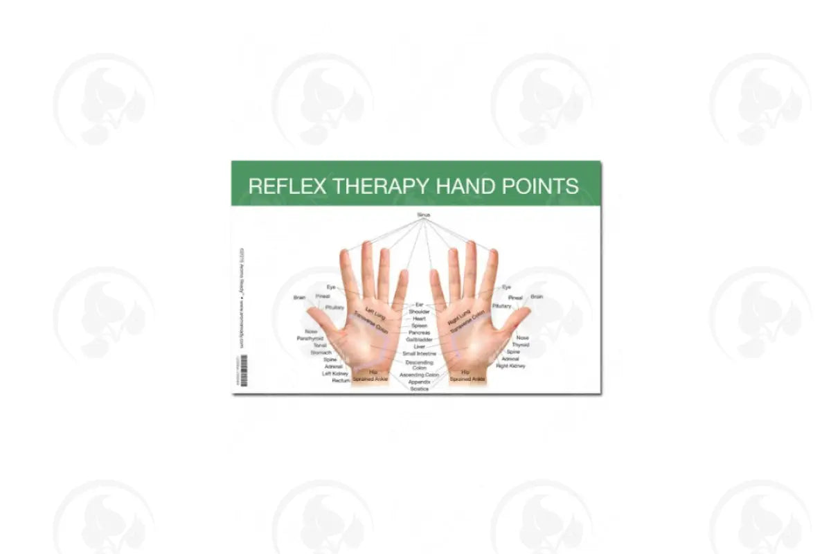 Mini Reflex Point Foot And Hand Chart