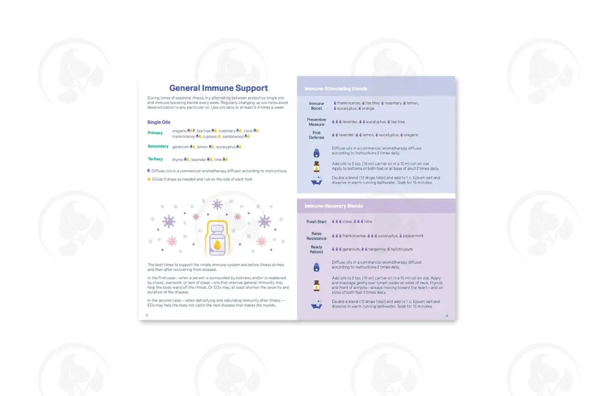 Essential Support For Immunity Booklet