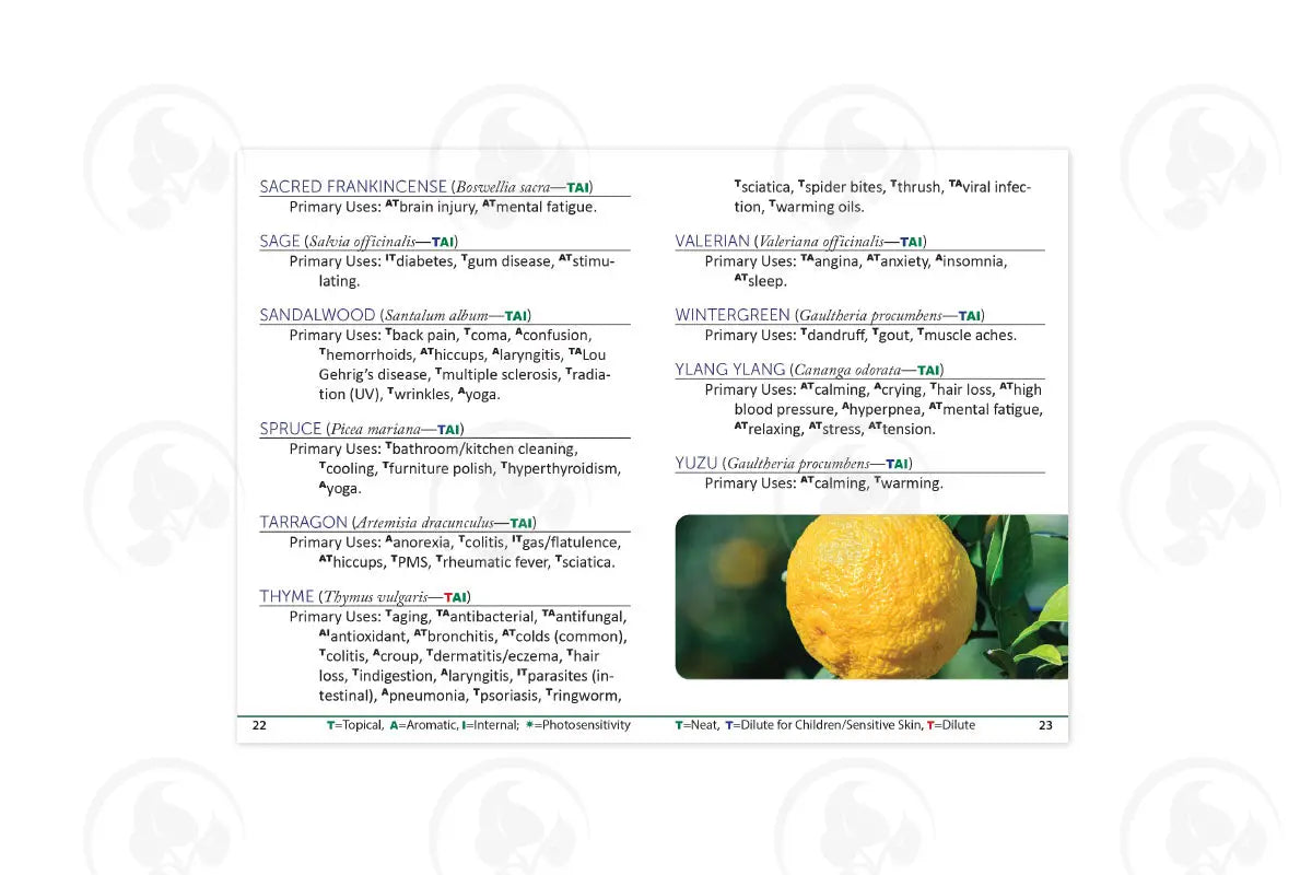 The Primary Usage Guide 2020 (10 Count)