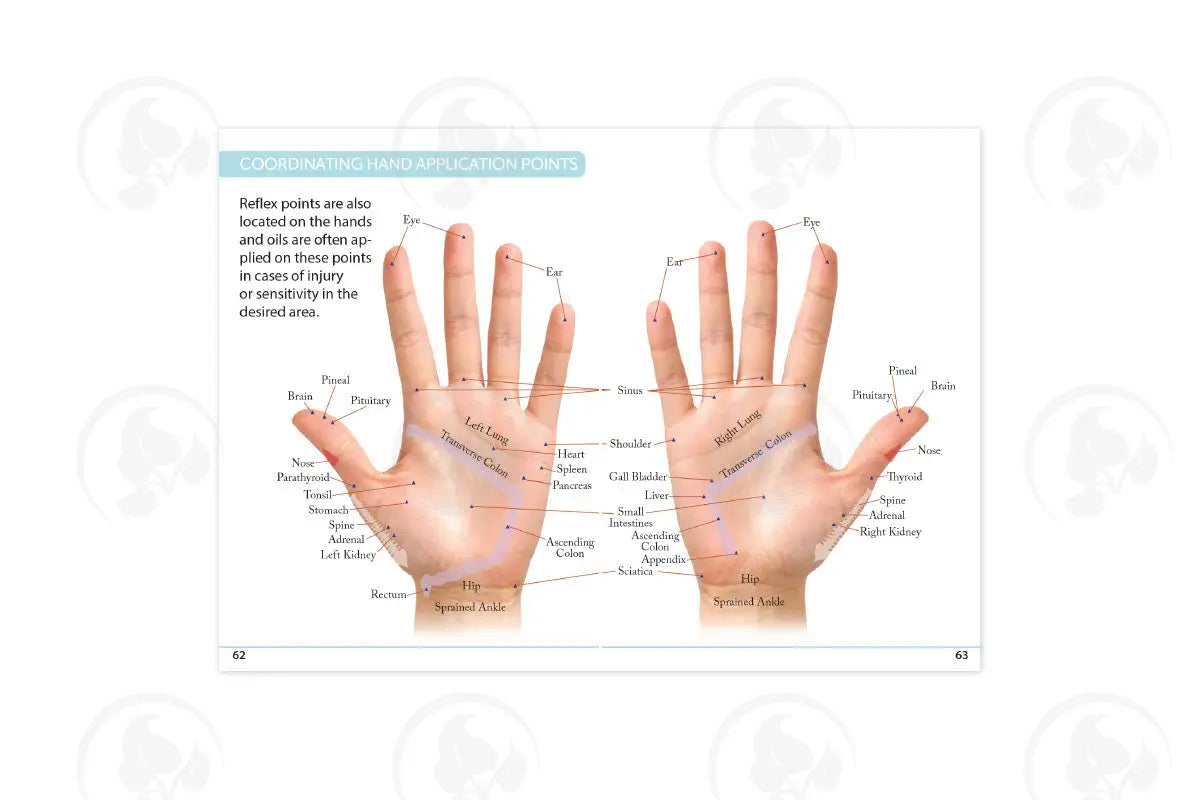 The Primary Usage Guide 2020 (10 Count)