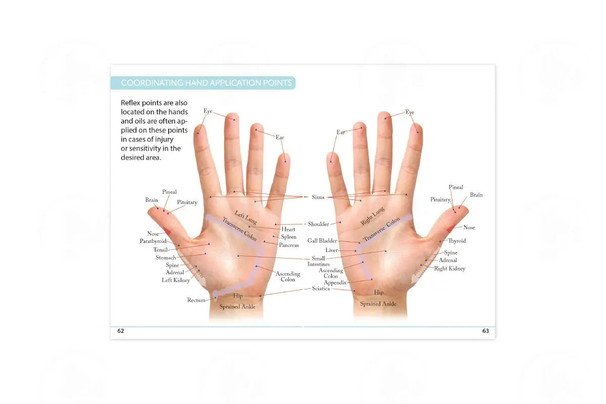The Primary Usage Guide 2020