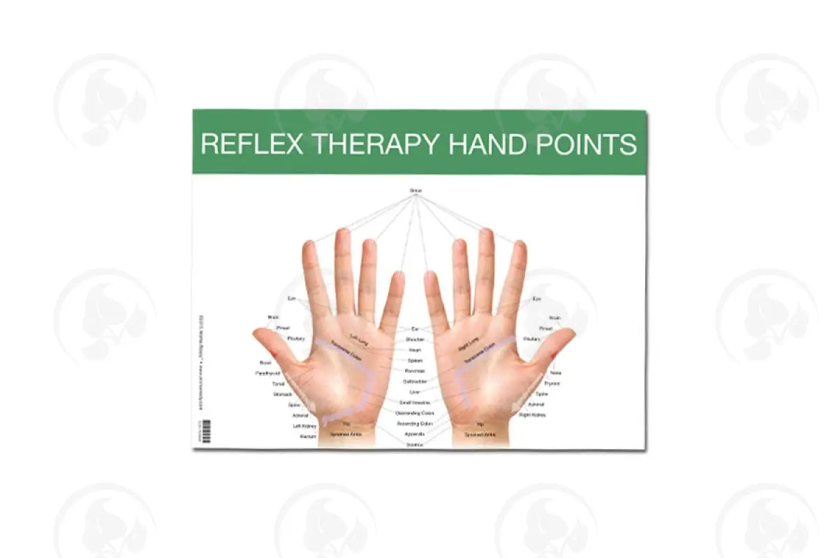 Reflex Point Foot And Hand Chart
