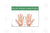 Reflex Point Foot And Hand Chart