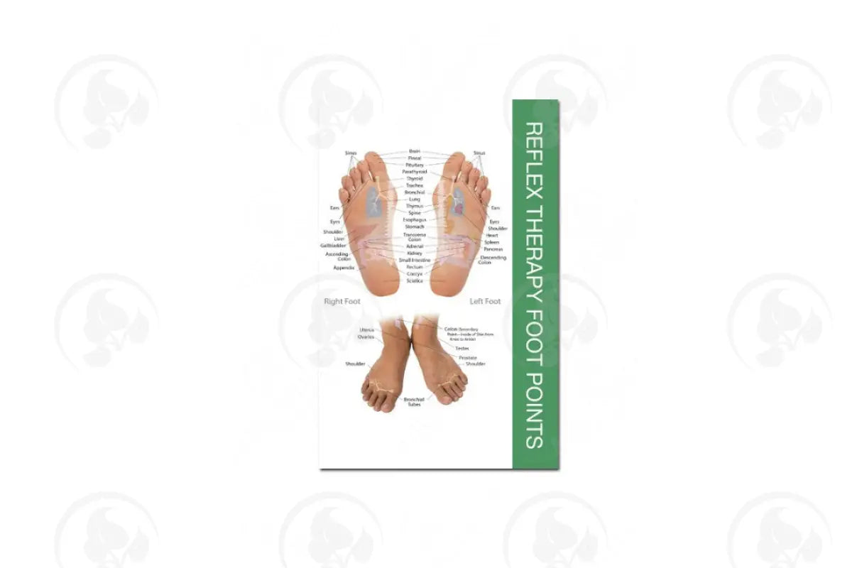 Mini Reflex Point Foot And Hand Chart