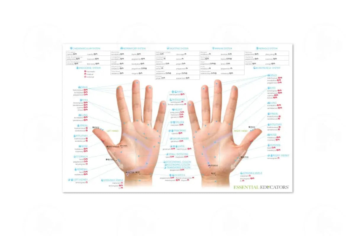Reflex Therapy Chart
