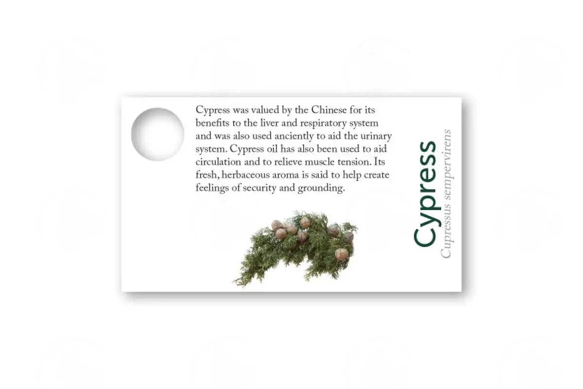 Essential Oil Sample Cards Cypress