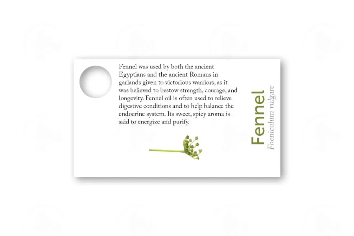 Essential Oil Sample Cards Fennel
