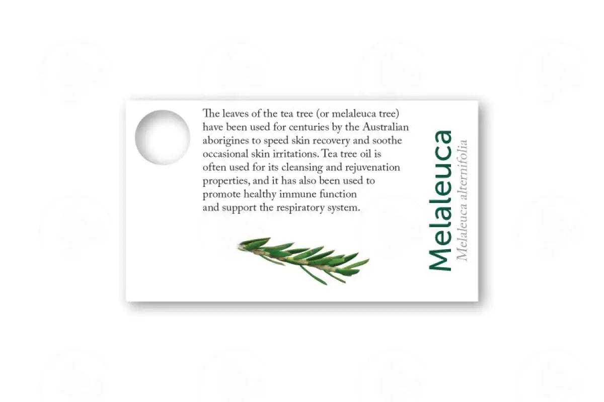 Essential Oil Sample Cards Melaleuca