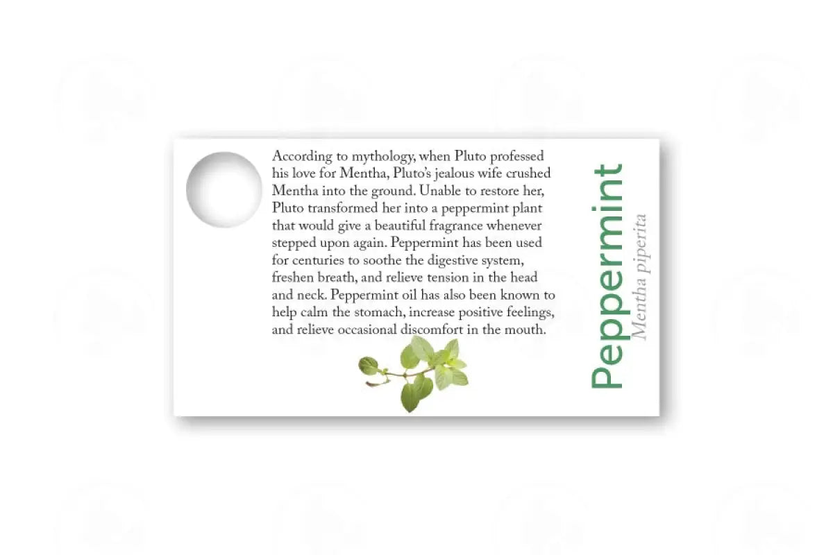Essential Oil Sample Cards Peppermint