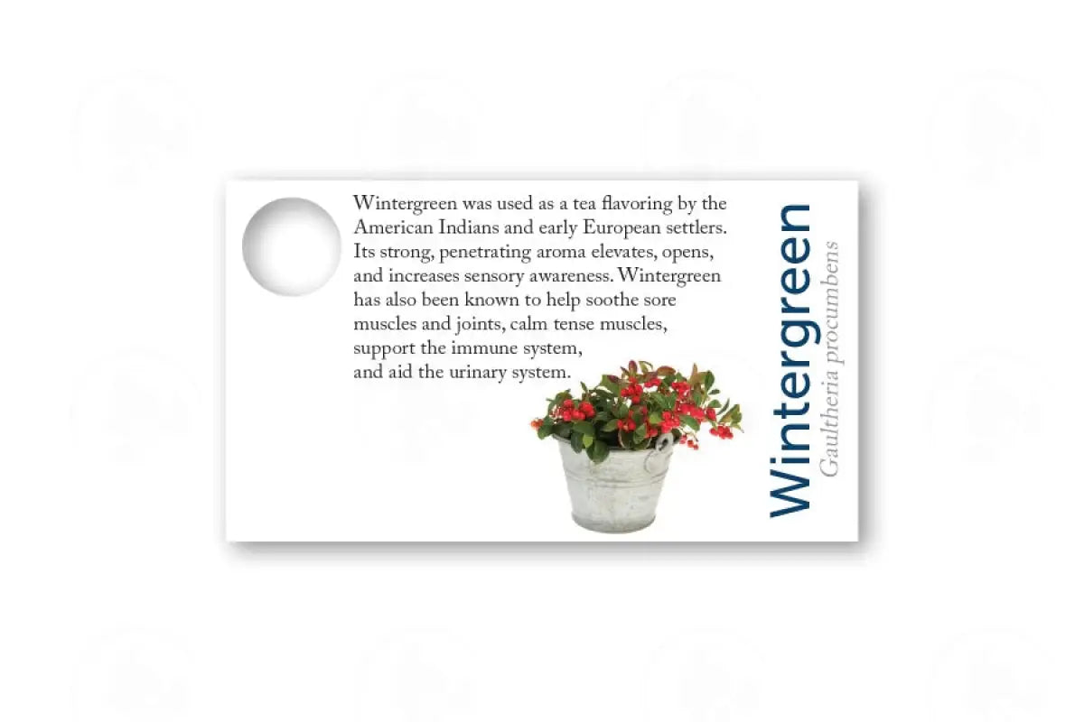 Essential Oil Sample Cards