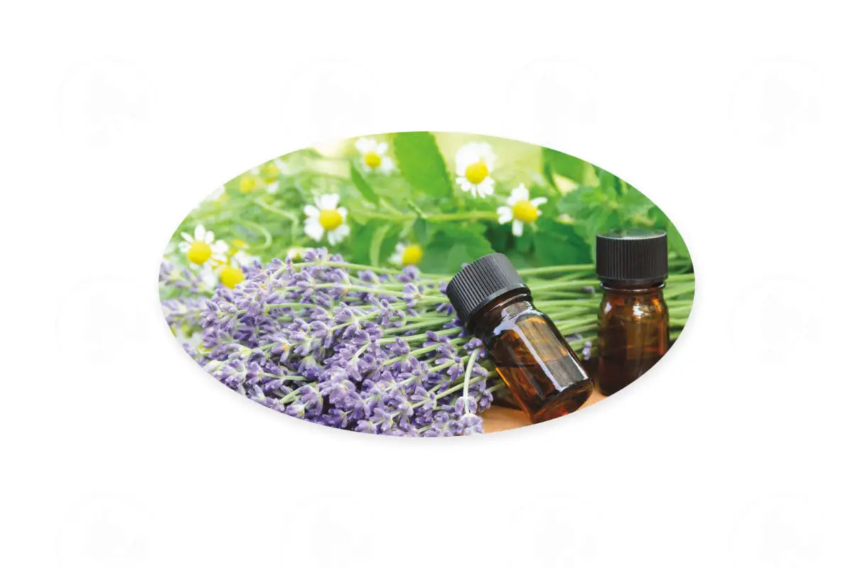 Assorted Oval Aroma Share Gift Tags (12 Count)