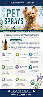Pet-Friendly Essential Oil Recipes &amp; Pet Sprays Rack Card (10 Pack)