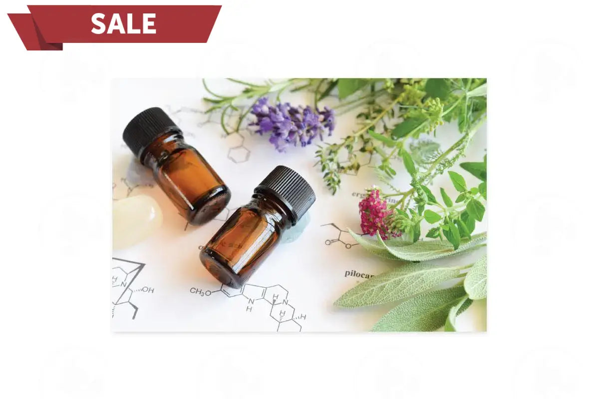 Assorted Greeting Cards and Envelopes (Set of 12)