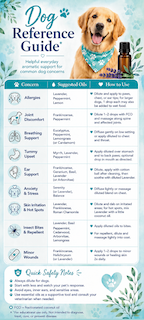 Cat &amp; Dog Essential Oil Reference Guide Rack Card (Pack of 10)