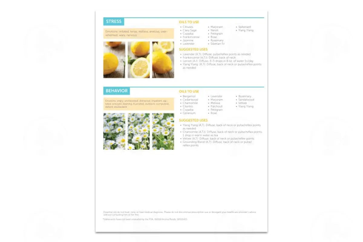 Essential Oils And The Brain For Children Foldout (25 Count)