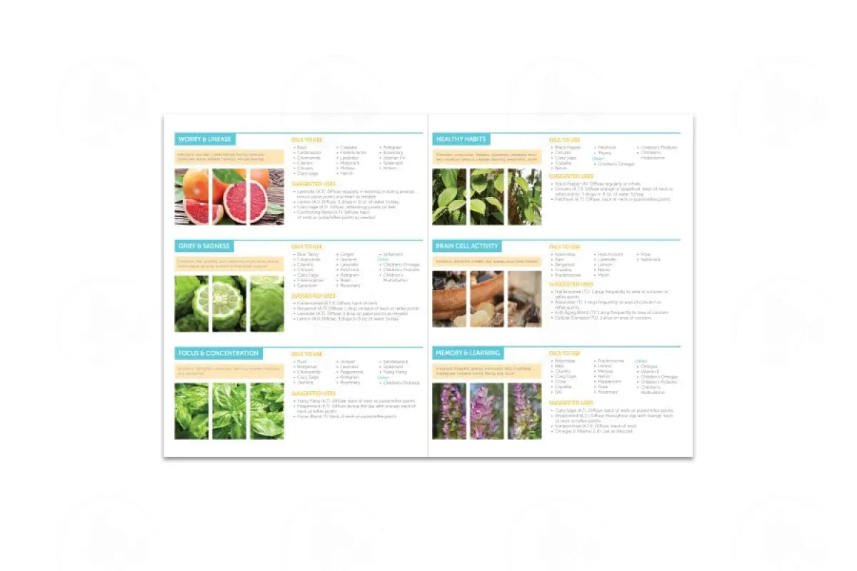 Essential Oils And The Brain For Children Foldout (25 Count)