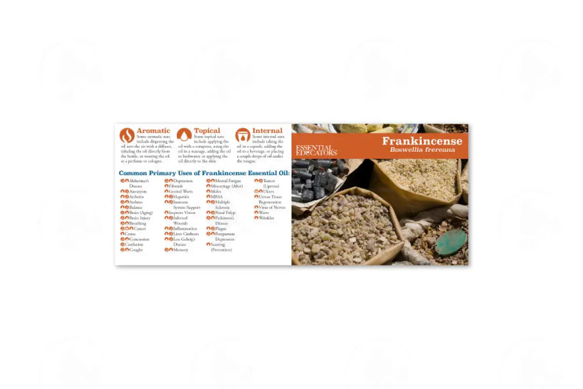 Essential Educators Mini Reference Guides (12 Count) Frankincense