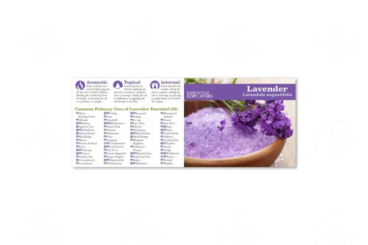 Essential Educators Mini Reference Guides (12 Count) Frankincense