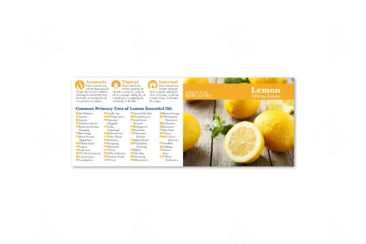 Essential Educators Mini Reference Guides (12 Count) Lemon