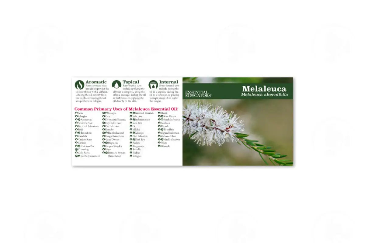 Essential Educators Mini Reference Guides (12 Count) Melaleuca