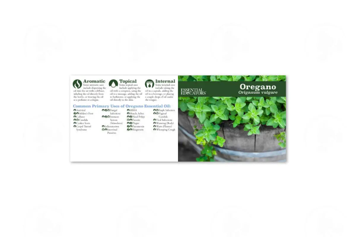 Essential Educators Mini Reference Guides (12 Count) Oregano