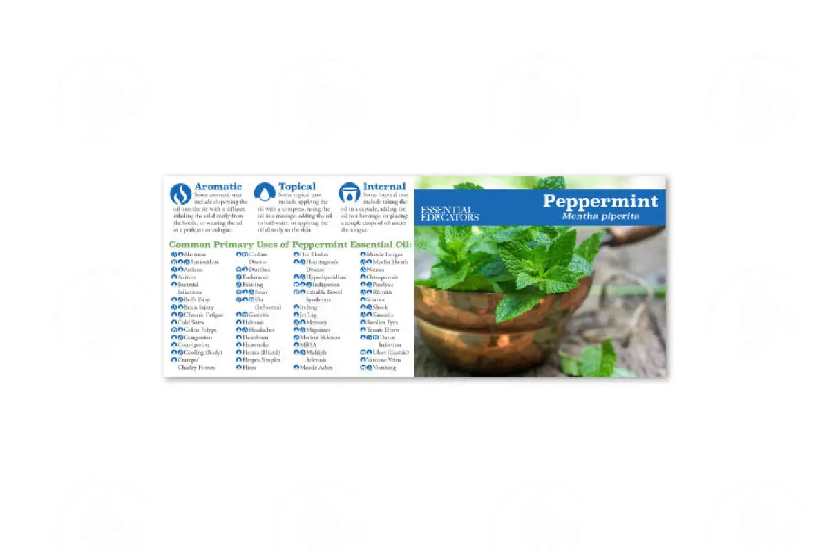 Essential Educators Mini Reference Guides (12 Count) Peppermint