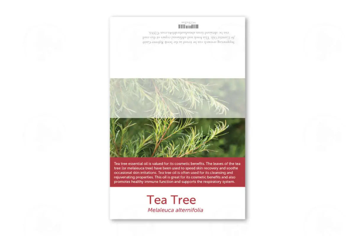 Premium Essential Oil Sample Cards (12 Count) Tea Tree