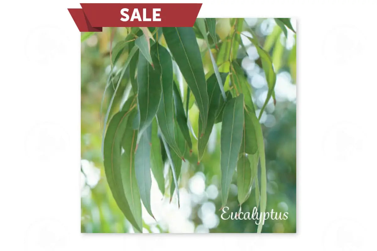 Essential Oil Word Mosaics and Photo Art Cards (Pack of 12)