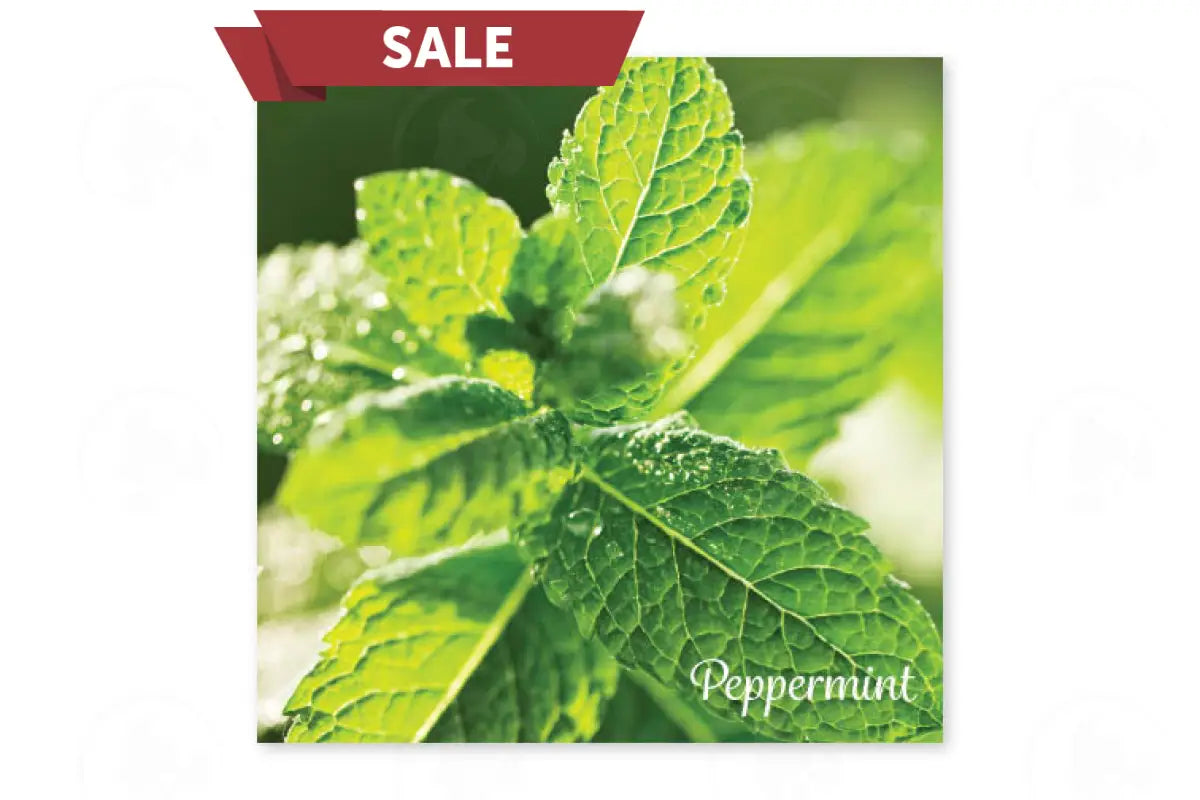 Essential Oil Word Mosaics and Photo Art Cards (Pack of 12)