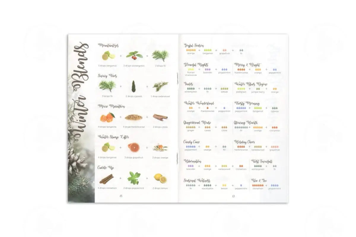 Diffuser Blends To Live By Bookletexpanded Edition (10 Count)