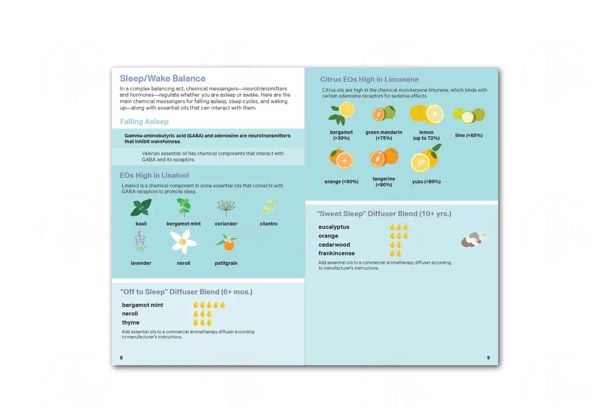 Essential Support For Sleep Booklet