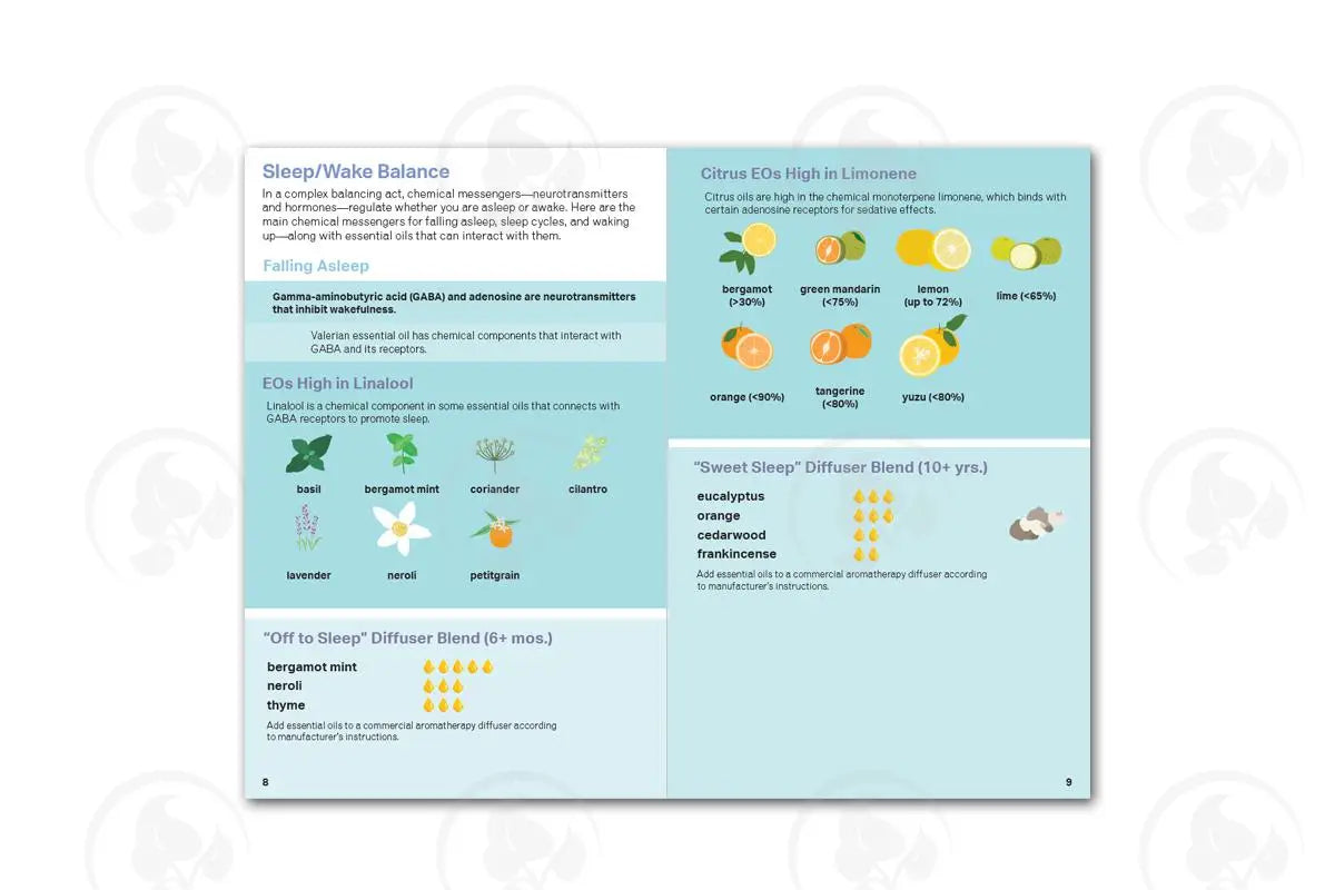 Essential Support Booklets Bundle (8 Count)