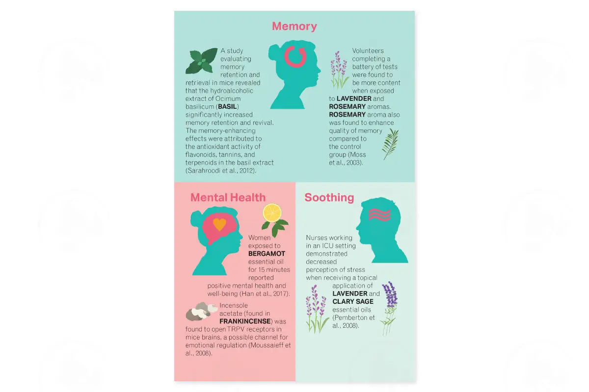 Using Essential Oils To Cope With Anxiety Booklet