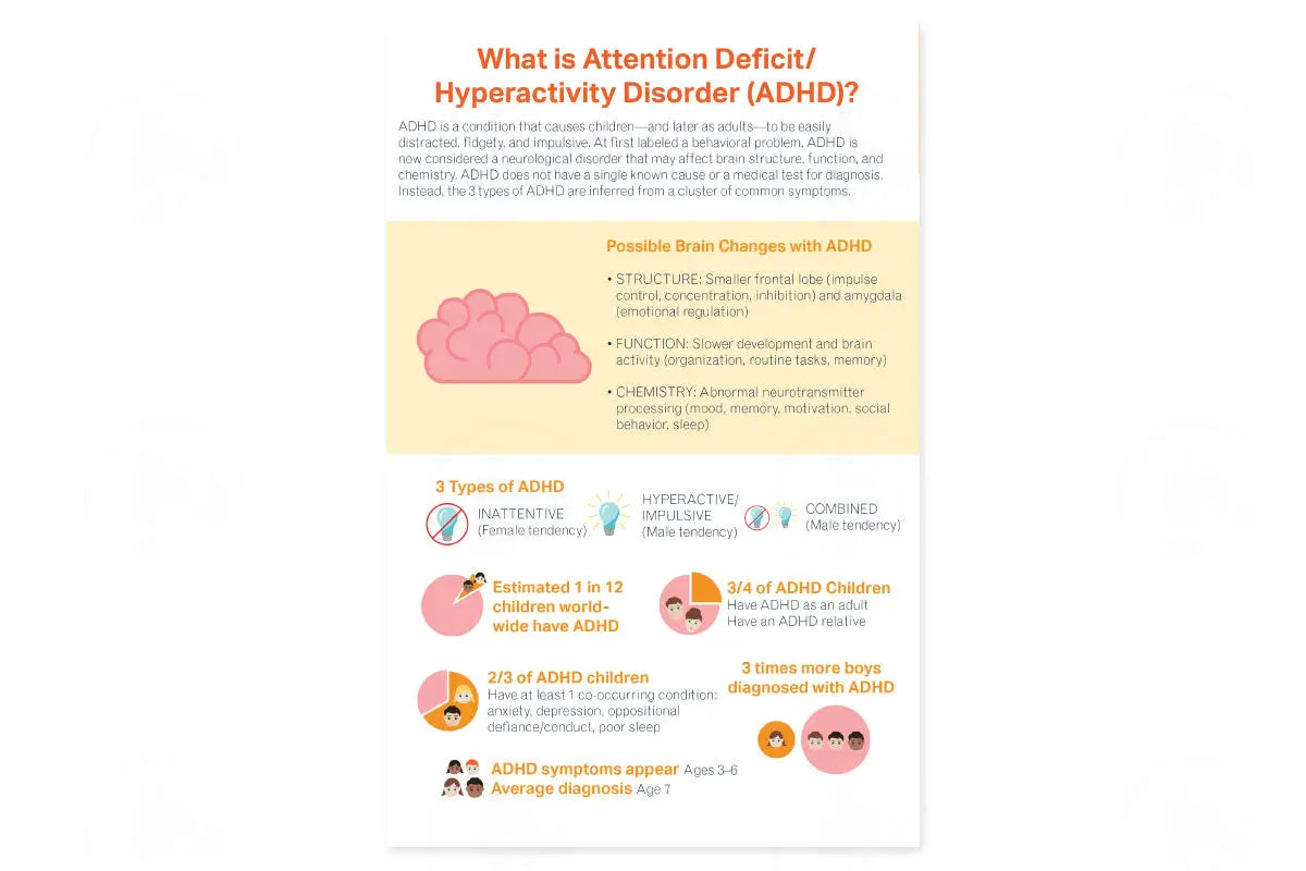 Essential Support For Adhd Booklet