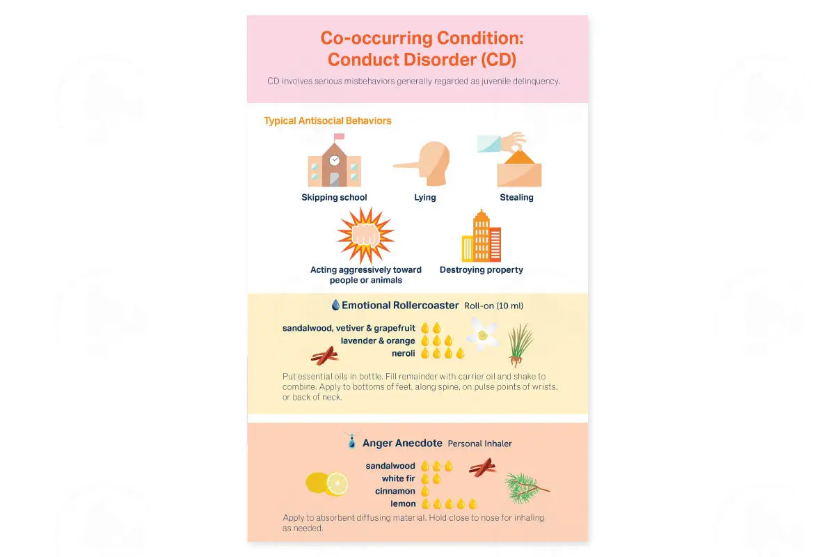 Essential Support For Adhd Booklet