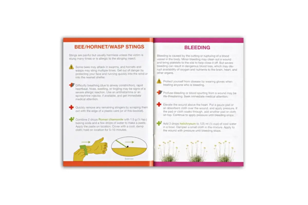 Essential Oil Support For First Aid Booklet (10 Count)