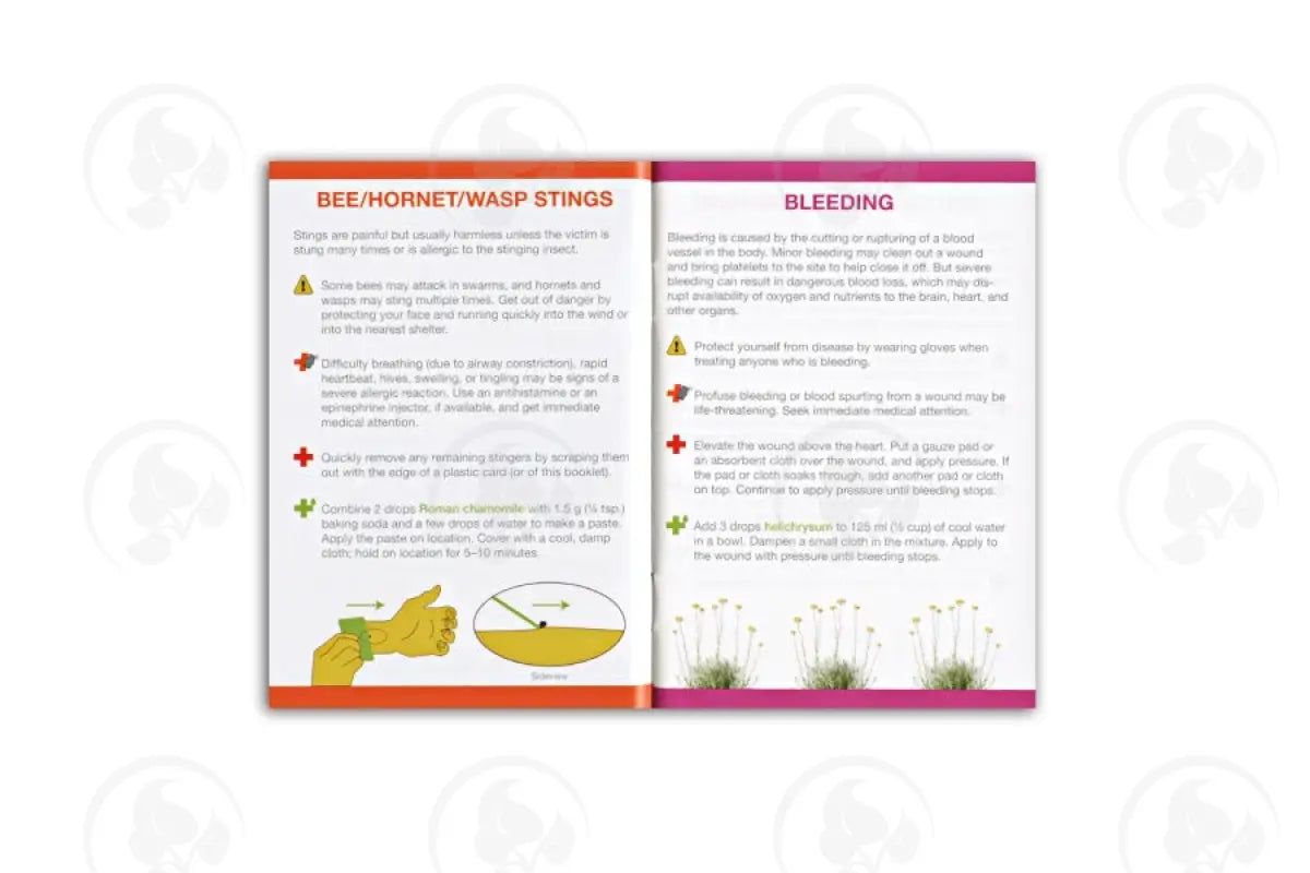 Essential Oil Support For First Aid Booklet