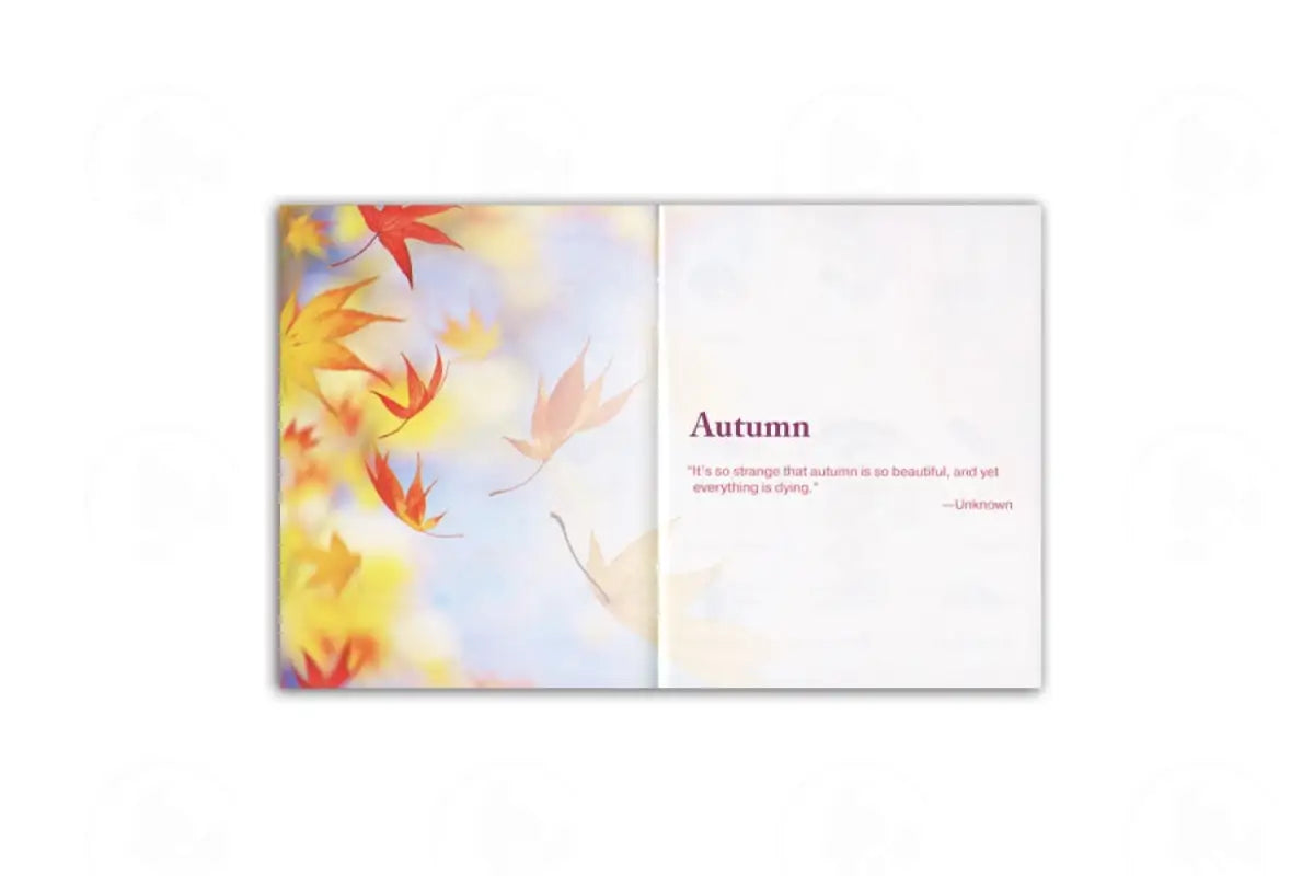 Essential Oil Sprays For Home And Family Booklet