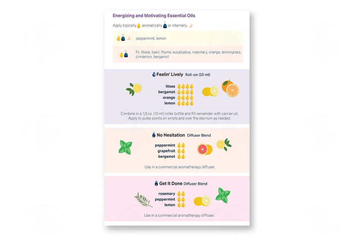 Essential Support For Exercise Booklet