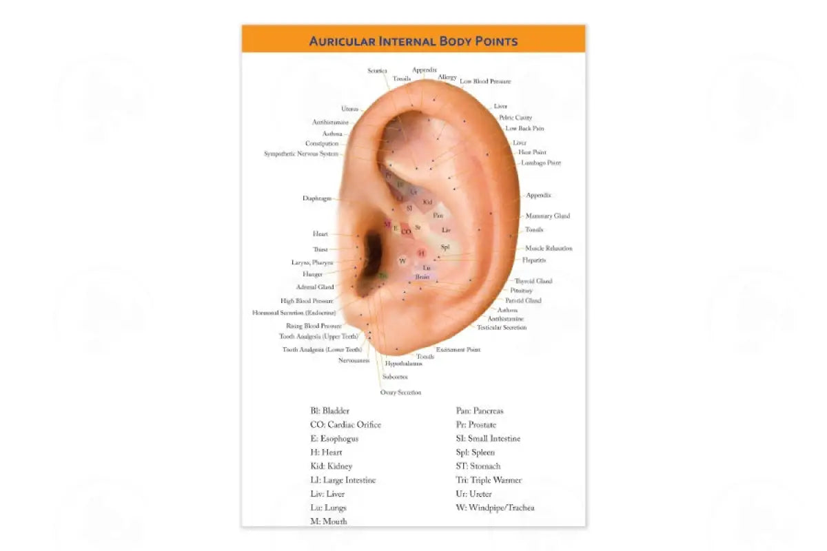Auricular Internal Body Points Chart