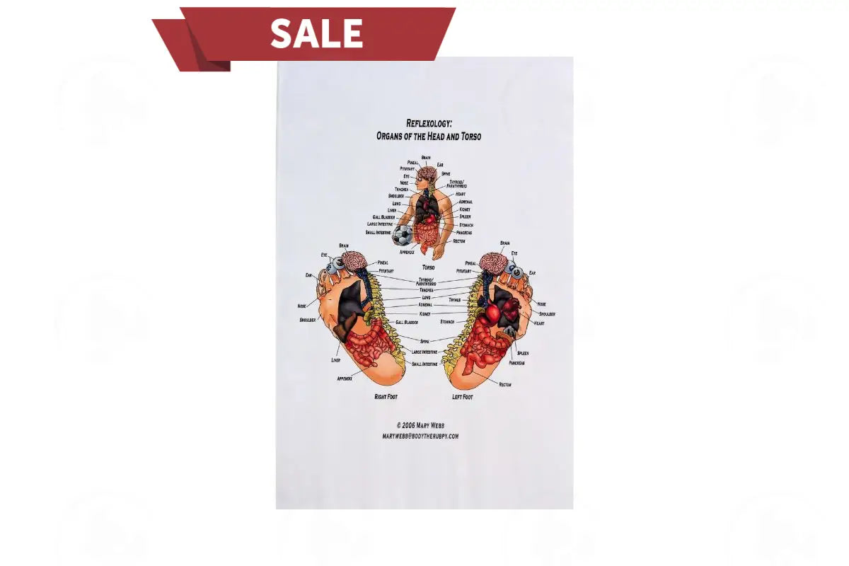 Reflexology Charts Organs Of The Head And Torso