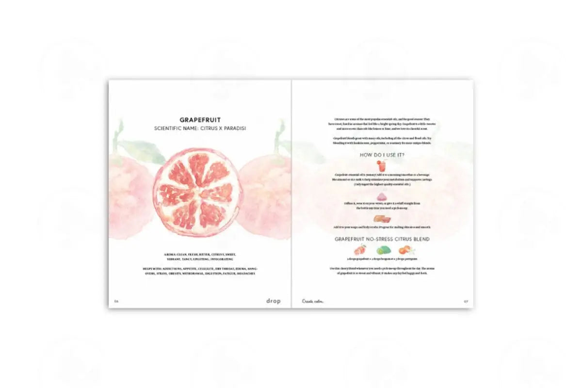 Drop Magazine: Spring Edition Vol. 1