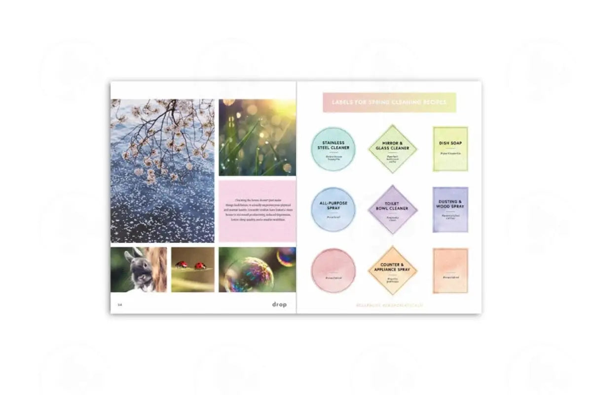 Drop Magazine: Spring Edition Vol. 1