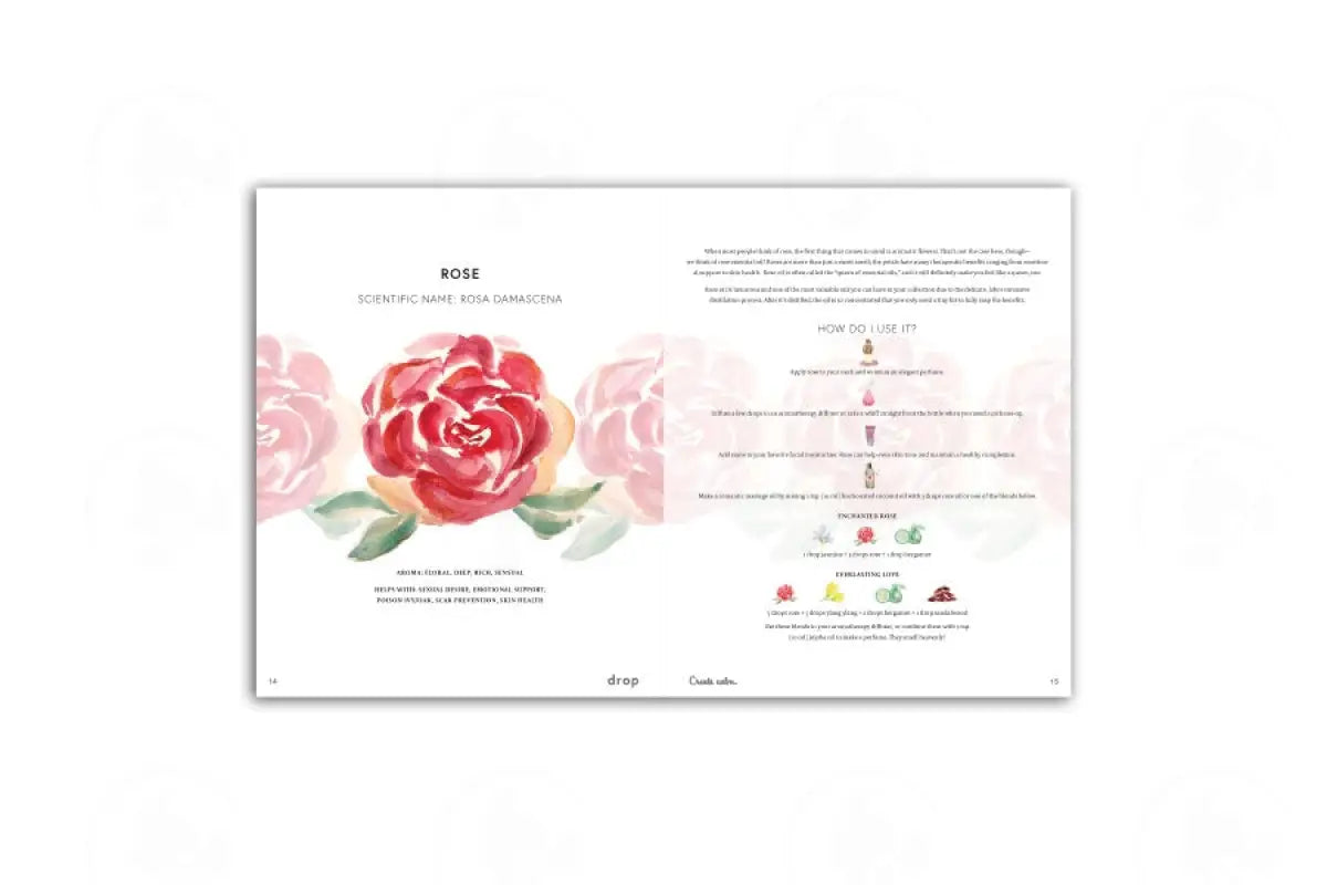 Drop Magazine: Summer Edition Vol. 2