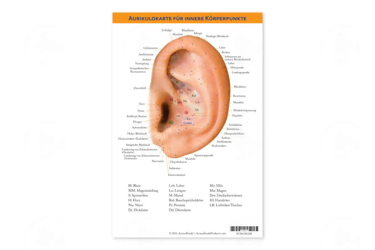 Auricular Internal Body Points Chart German